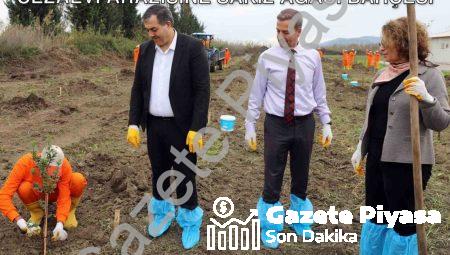 Dalaman’da Tarımsal Kalkınma Hamlesi: Cezaevi Arazisine Sakız Ağacı Bahçesi