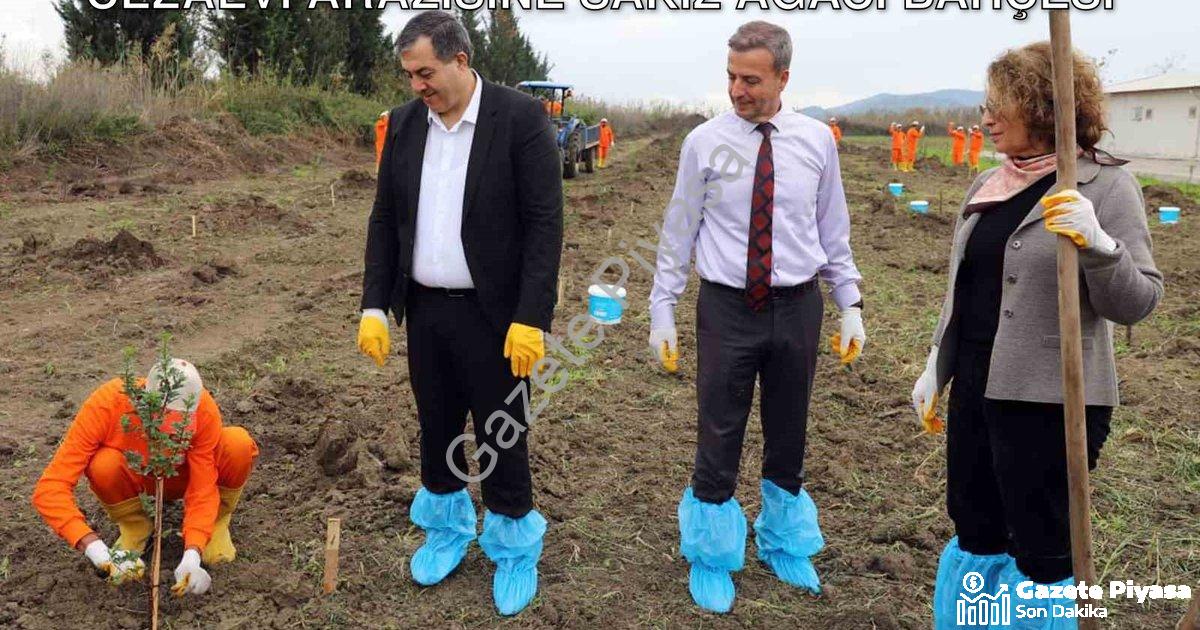 "Dalaman'da Tarımsal Kalkınma Hamlesi: Cezaevi Arazisine Sakız Ağacı Bahçesi" başlıklı haber için fo