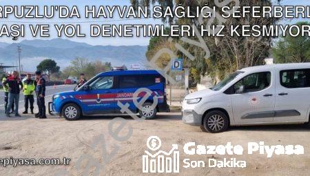 Karpuzlu’da Hayvan Sağlığı Seferberliği: Aşı ve Yol Denetimleri Hız Kesmiyor