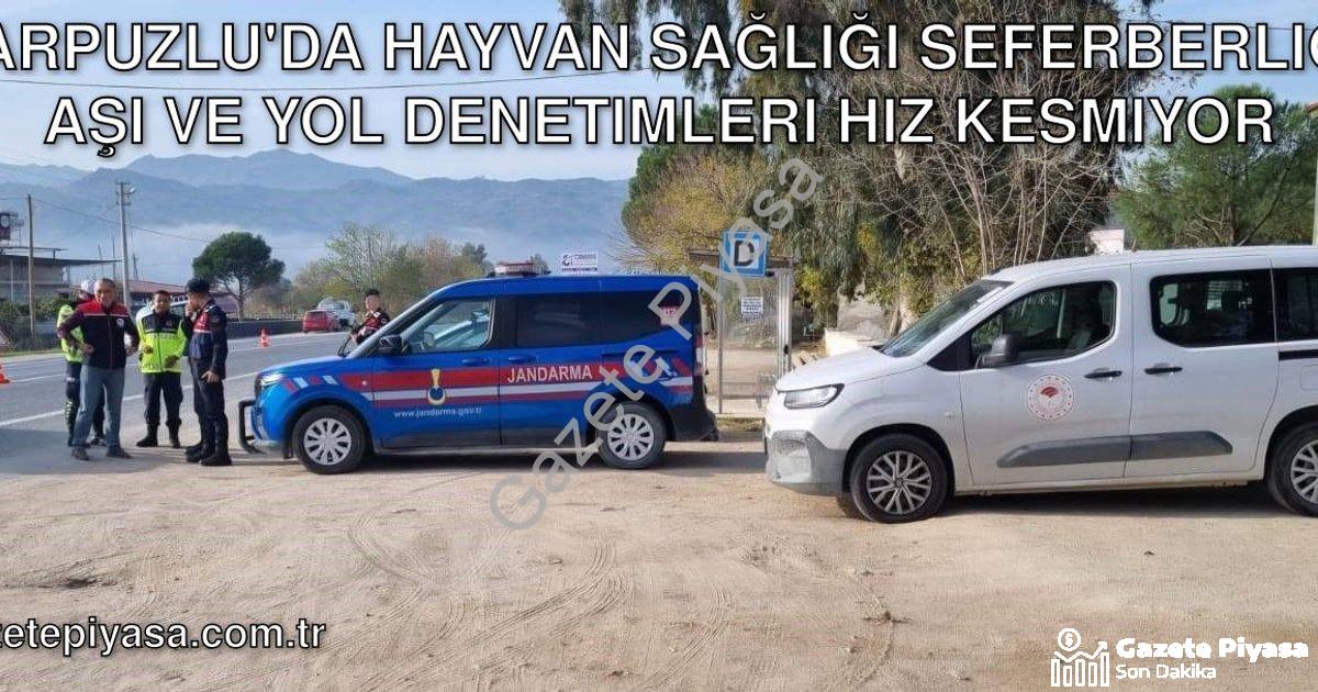 "Karpuzlu'da Hayvan Sağlığı Seferberliği: Aşı ve Yol Denetimleri Hız Kesmiyor" başlıklı haber için f