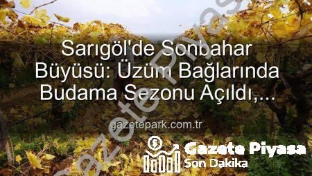 Sarıgöl’de Sonbahar Renkleri: Üzüm Bağlarında Budama Mevsimi ve Yeni Yevmiye Açıklaması