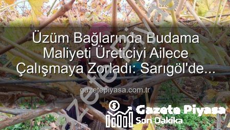 Üzüm Bağlarında Budama Maliyeti Üreticiyi Ailece Çalışmaya Zorladı: Sarıgöl’de Yeni Dönem