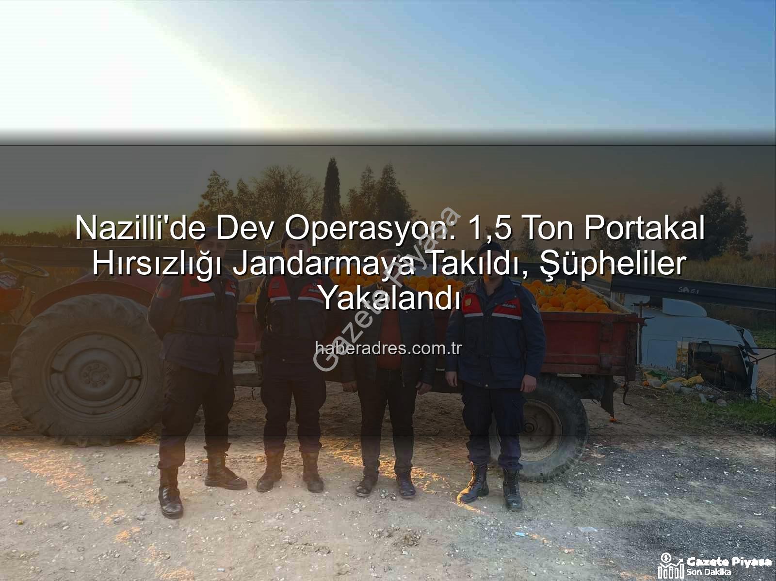 portakal hırsızlığı - Nazilli'de Nefes Kesen Operasyon: 1,5 Ton Portakal Hırsızlığı Jandarmaya Takıldı!