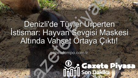 Denizli’deki Sözde Barınakta Tüyler Ürperten İstismar: Köpekler Açlıktan Birbirini Yedi!