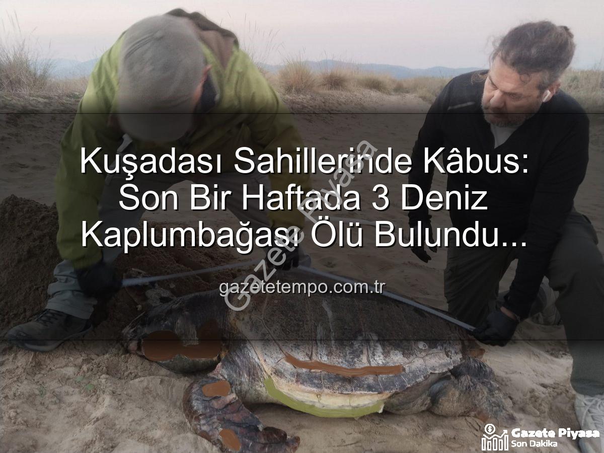 deniz kaplumbağası ölümleri - Kuşadası Kıyılarında Tüyler Ürperten Keşif: Bir Haftada 3 Deniz Kaplumbağası Ölü Bulundu! Sebebi Ağlar mı?