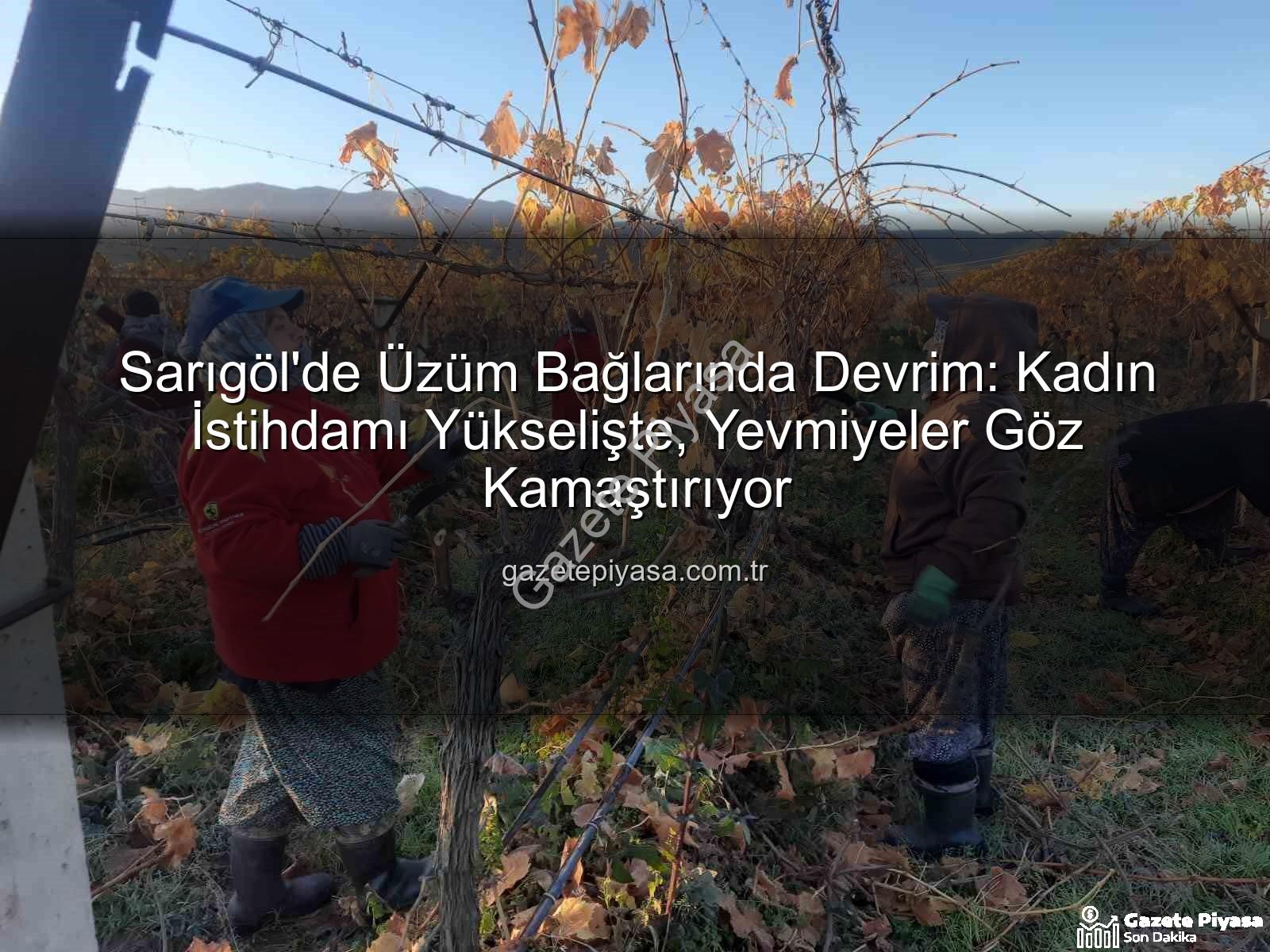 kadın istihdamı - Sarıgöl'de Üzüm Bağlarında Devrim: Kadın İstihdamı Yükselişte, Yevmiyeler Göz Kamaştırıyor