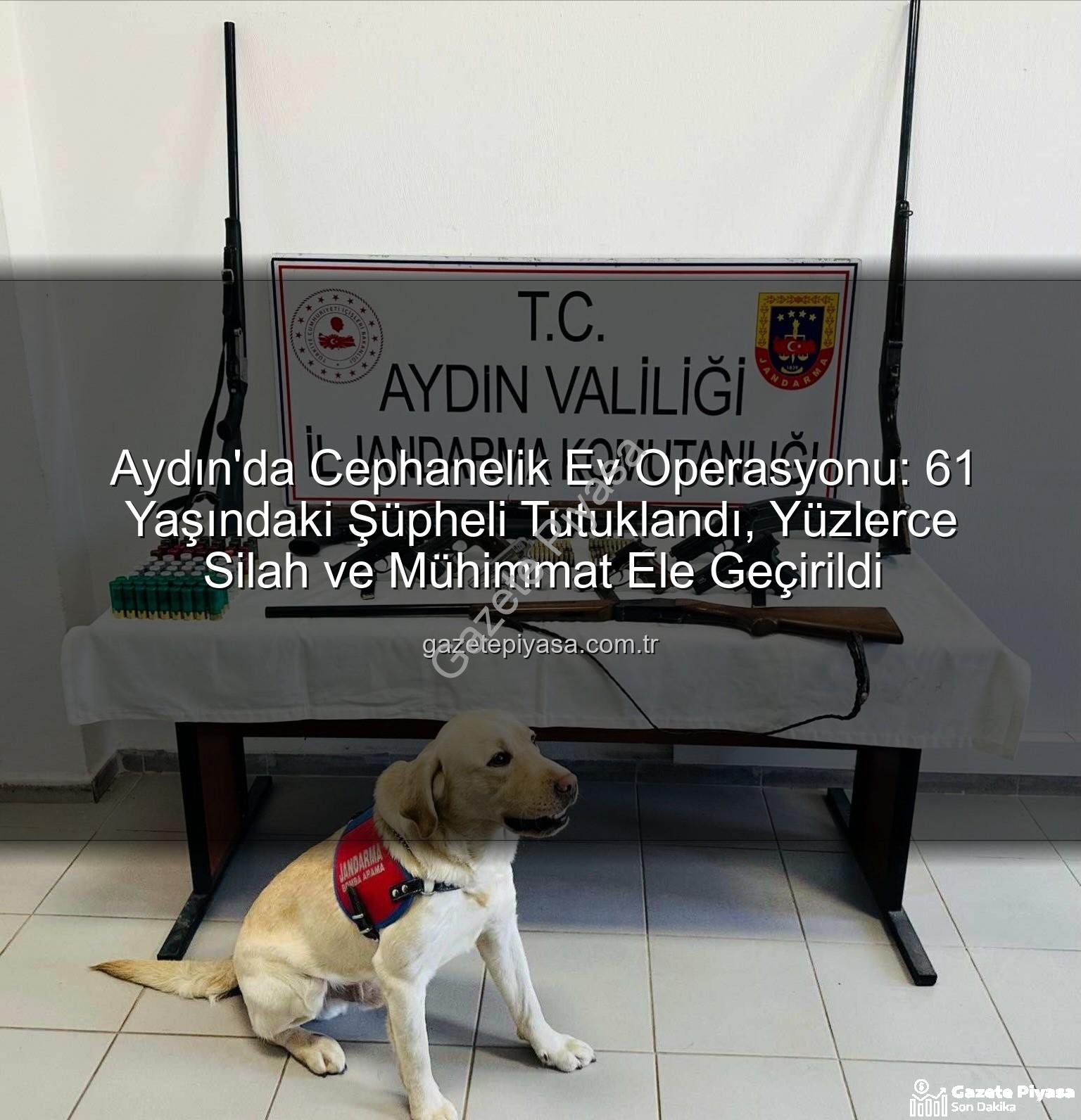 ruhsatsız silah - Aydın'da Cephanelik Ev Operasyonu: 61 Yaşındaki Şüpheli Tutuklandı, Yüzlerce Silah ve Mühimmat Ele Geçirildi