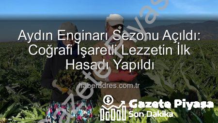 Aydın’ın Bereketli Topraklarından İlk Hasat: Coğrafi İşaretli Enginar Sezonu Açıldı!
