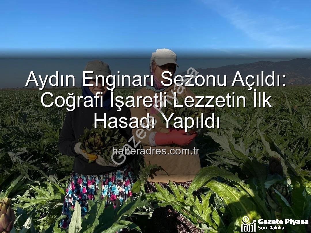 Aydın Enginarı - Aydın'ın Bereketli Topraklarından İlk Hasat: Coğrafi İşaretli Enginar Sezonu Açıldı!
