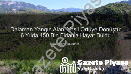 Dalaman Yangın Alanı Yeşil Örtüye Dönüştü: 6 Yılda 450 Bin Fidanla Hayat Buldu