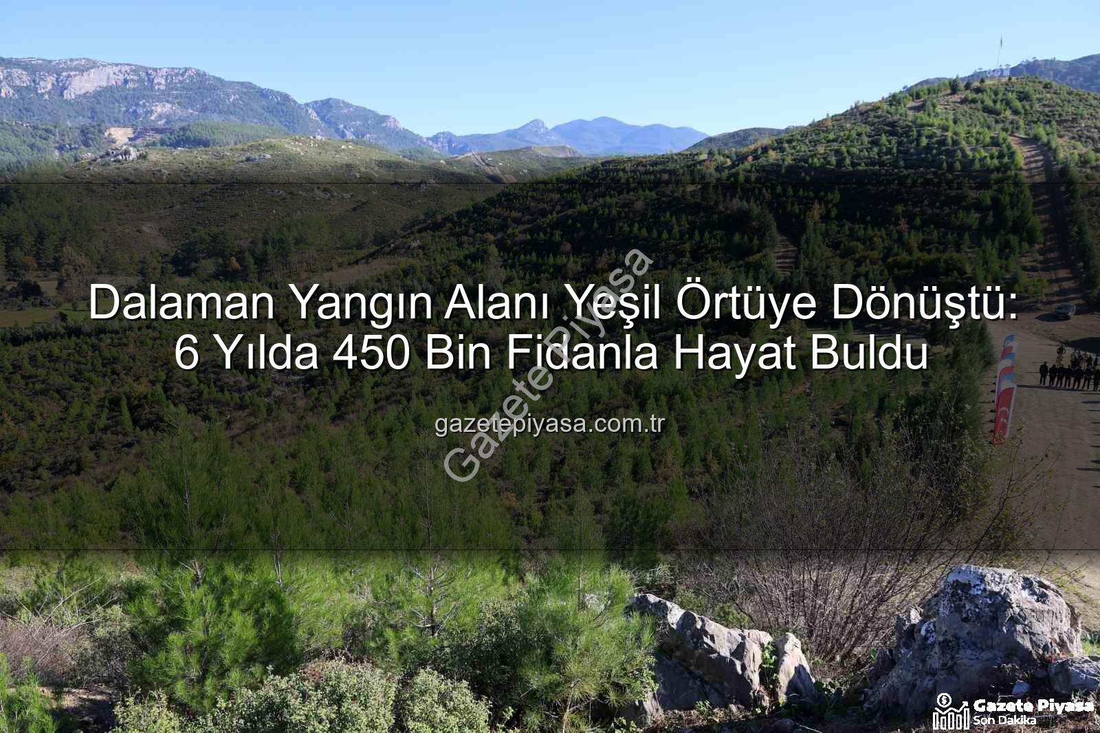 Dalaman yangın alanı - Dalaman Yangın Alanı Yeşil Örtüye Dönüştü: 6 Yılda 450 Bin Fidanla Hayat Buldu