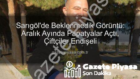 Sarıgöl’de Beklenmedik Görüntü: Aralık Ayında Papatyalar Açtı, Çiftçiler Endişeli