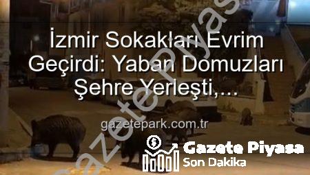 İzmir Sokakları Vahşi Yaşam Alanına Döndü: Yaban Domuzu Sürüleri Yerleşim Yerlerinde!